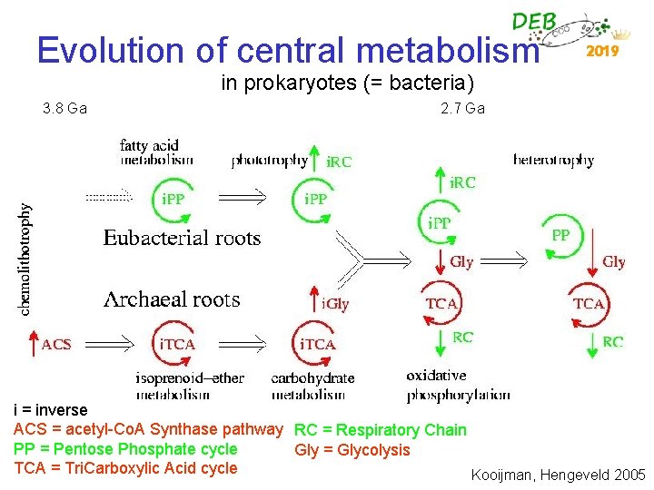 Evolution of central metabolism 2019 in prokaryotes (= bacteria) 3. 8 Ga 2. 7