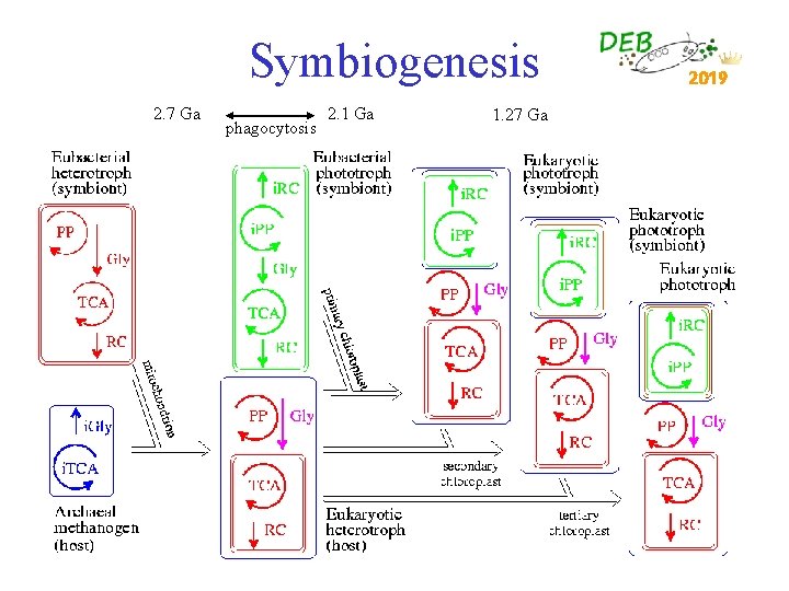 Symbiogenesis 2. 7 Ga phagocytosis 2. 1 Ga 1. 27 Ga 2019 
