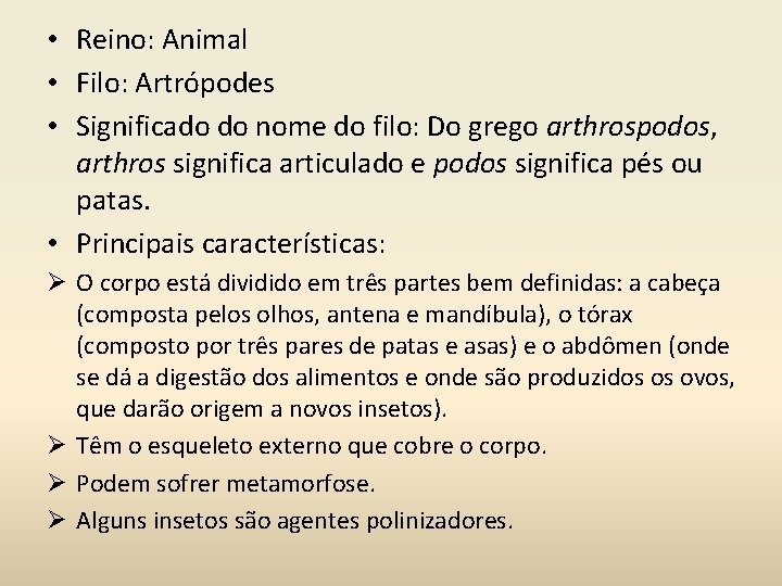  • Reino: Animal • Filo: Artrópodes • Significado do nome do filo: Do