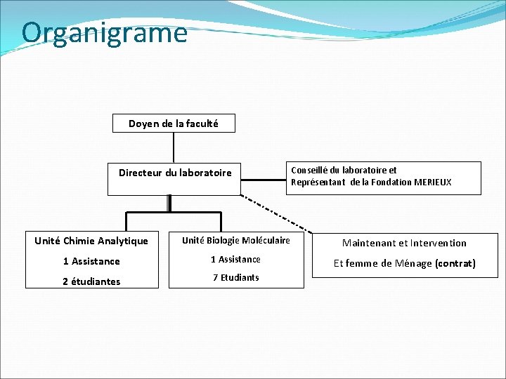 Organigrame Doyen de la faculté Directeur du laboratoire Conseillé du laboratoire et Représentant de