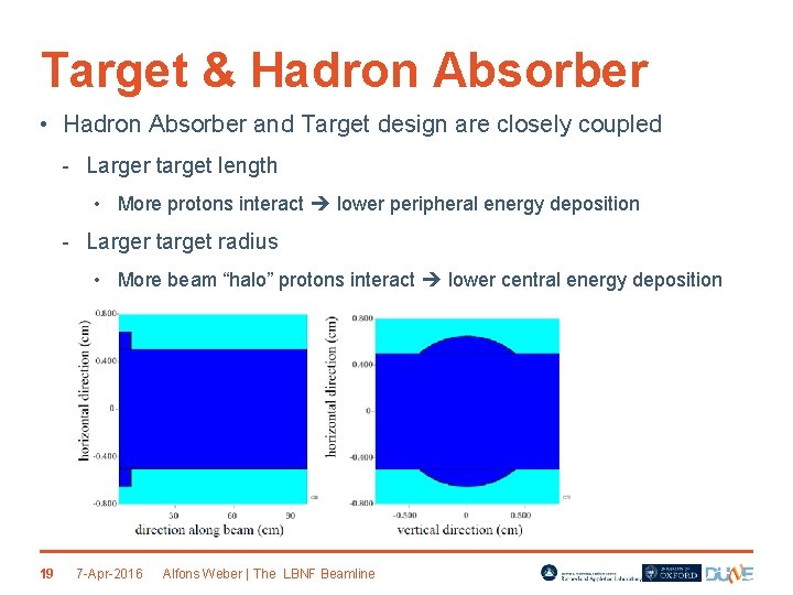 Target & Hadron Absorber • Hadron Absorber and Target design are closely coupled -