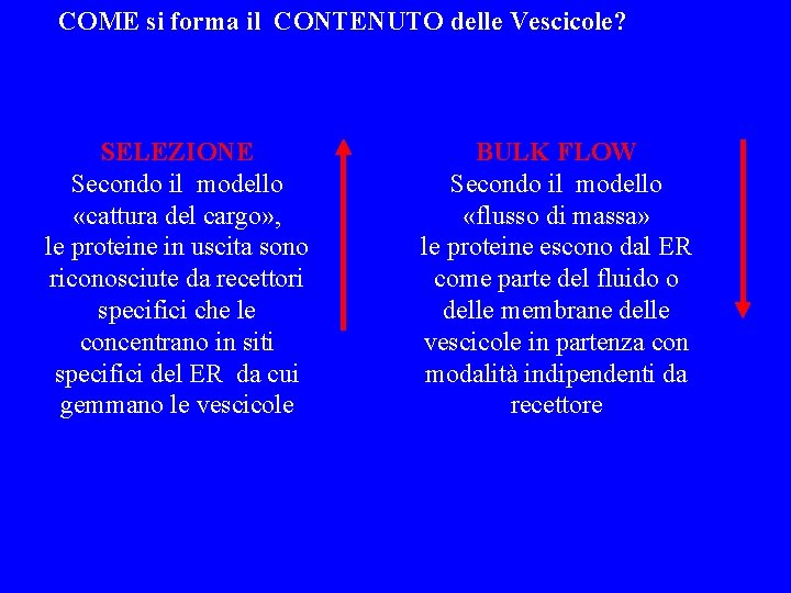 COME si forma il CONTENUTO delle Vescicole? SELEZIONE Secondo il modello «cattura del cargo»