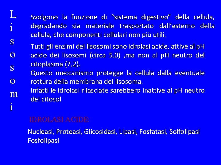 L i s o m i Svolgono la funzione di “sistema digestivo” della cellula,