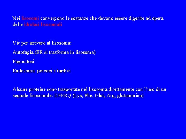 Nei lisosomi convergono le sostanze che devono essere digerite ad opera delle idrolasi lisosomali