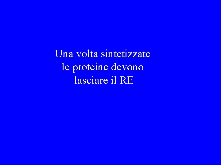 Una volta sintetizzate le proteine devono lasciare il RE 