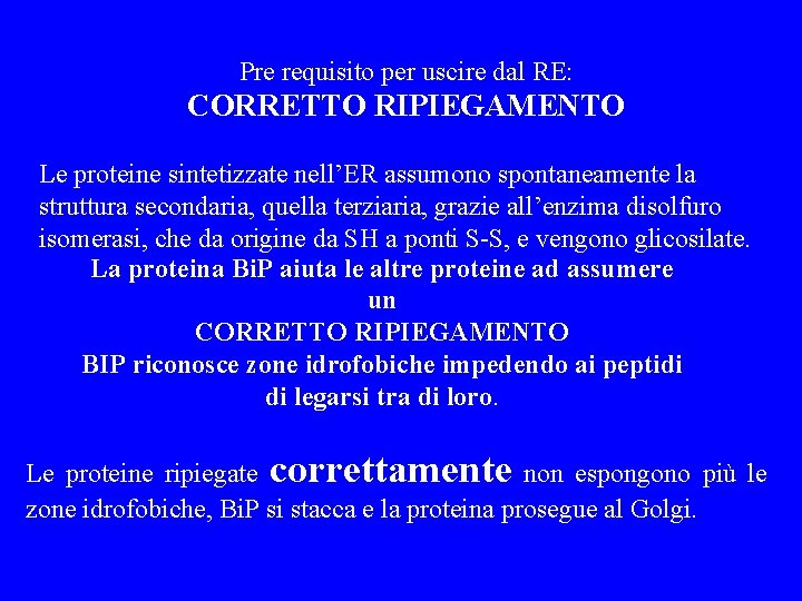 Pre requisito per uscire dal RE: CORRETTO RIPIEGAMENTO Le proteine sintetizzate nell’ER assumono spontaneamente