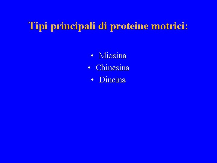 Tipi principali di proteine motrici: • Miosina • Chinesina • Dineina 