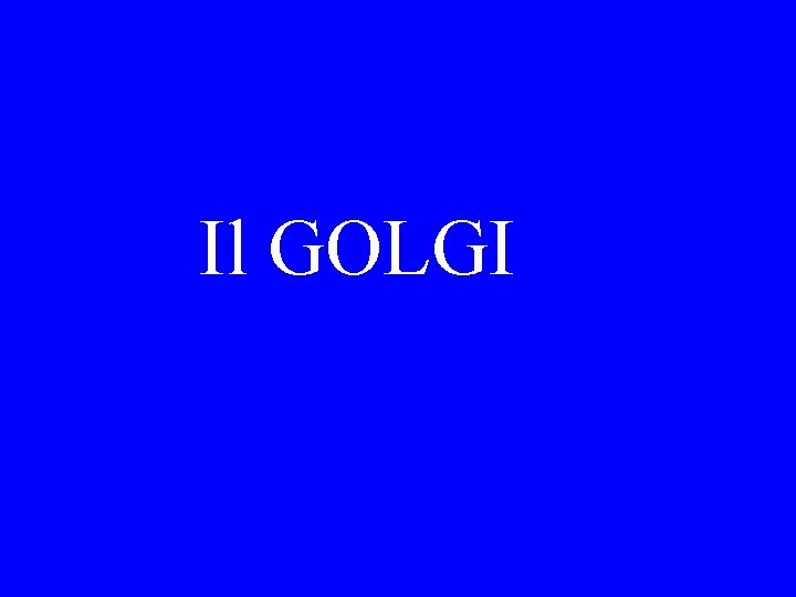 Il GOLGI 