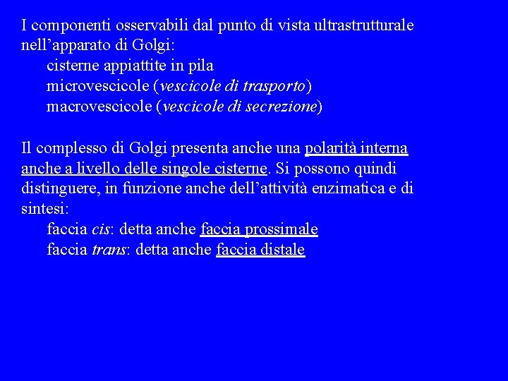 I componenti osservabili dal punto di vista ultrastrutturale nell’apparato di Golgi: cisterne appiattite in