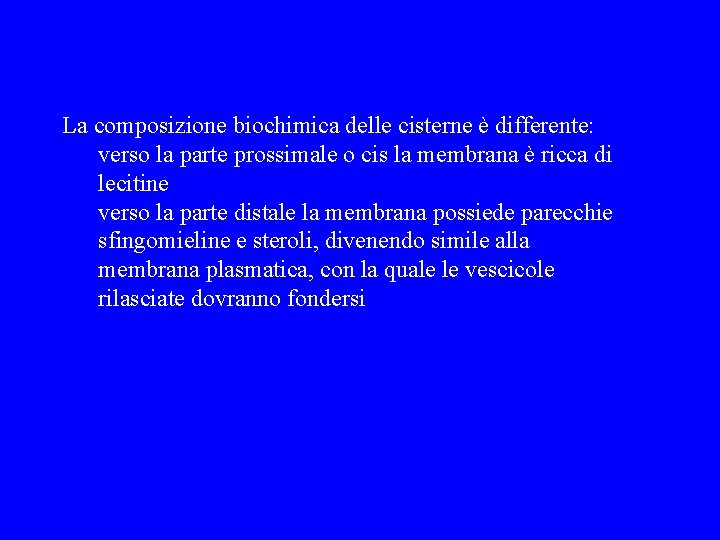 La composizione biochimica delle cisterne è differente: verso la parte prossimale o cis la