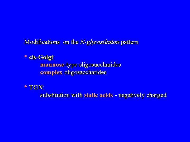 Modifications on the N-glycosilation pattern • cis-Golgi: mannose-type oligosaccharides complex oligosaccharides • TGN: substitution