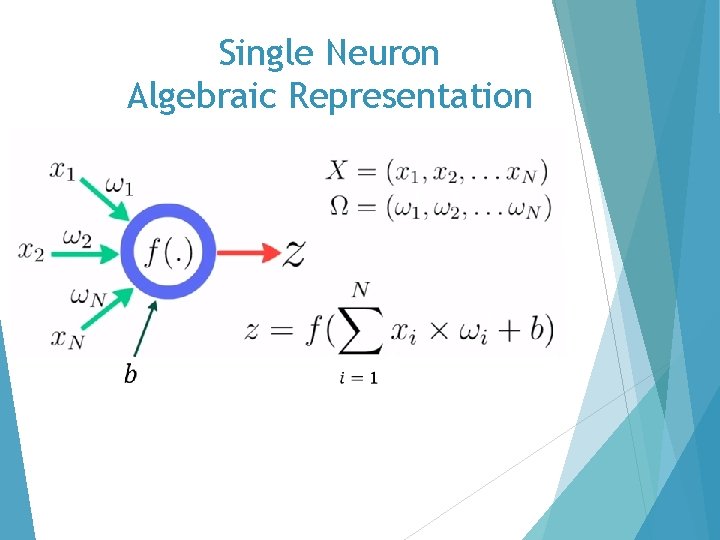 Single Neuron Algebraic Representation 