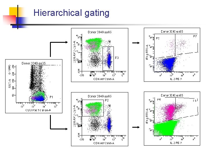 Hierarchical gating 