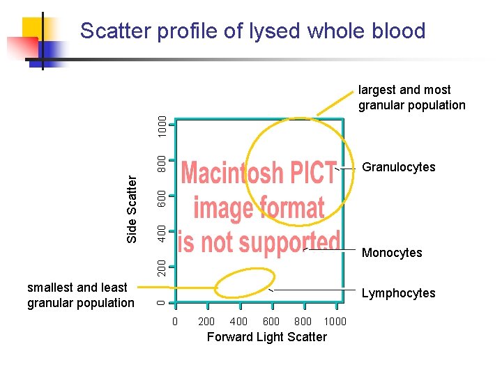 Scatter profile of lysed whole blood 600 Granulocytes 400 Side Scatter 800 1000 largest