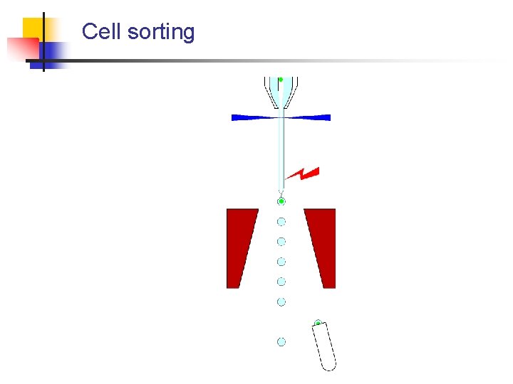 Cell sorting 