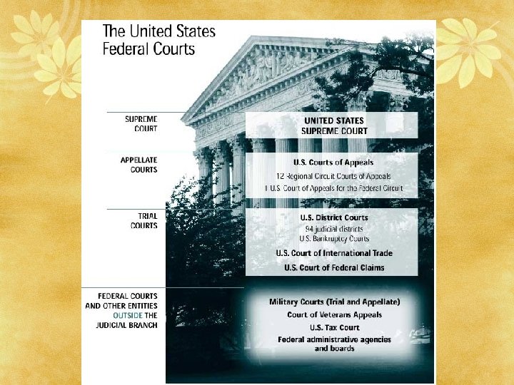 The Judicial Branch Introduction Braincluster Write anything that