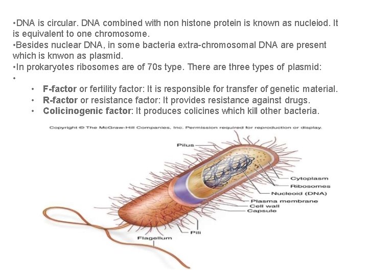  • DNA is circular. DNA combined with non histone protein is known as