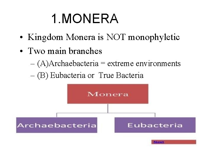 1. MONERA • Kingdom Monera is NOT monophyletic • Two main branches – (A)Archaebacteria