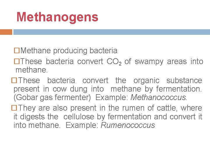 Methanogens Methane producing bacteria These bacteria convert CO 2 of swampy areas into methane.