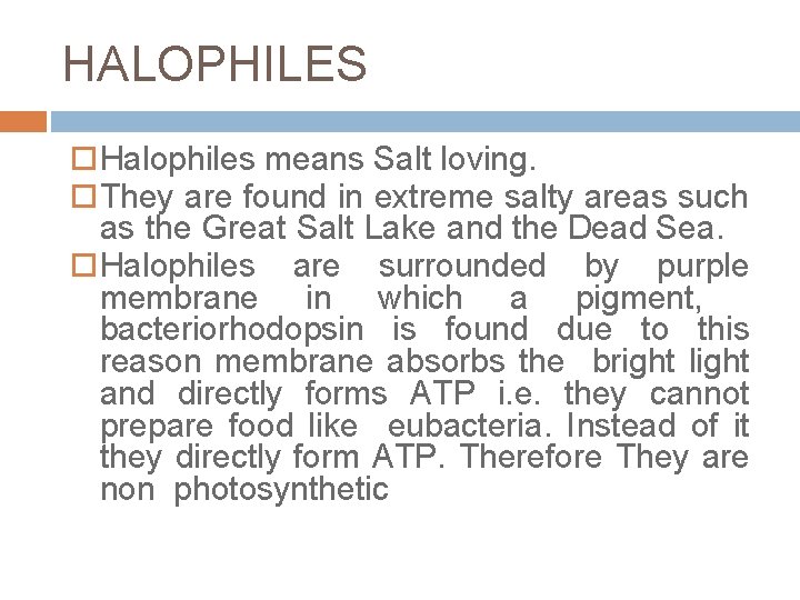HALOPHILES Halophiles means Salt loving. They are found in extreme salty areas such as