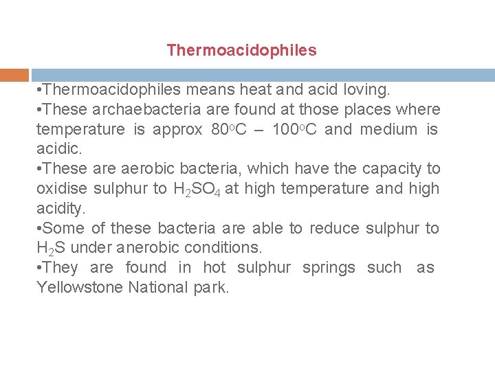 Thermoacidophiles • Thermoacidophiles means heat and acid loving. • These archaebacteria are found at
