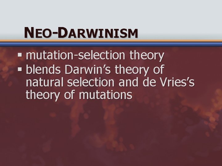 NEO-DARWINISM § mutation-selection theory § blends Darwin’s theory of natural selection and de Vries’s