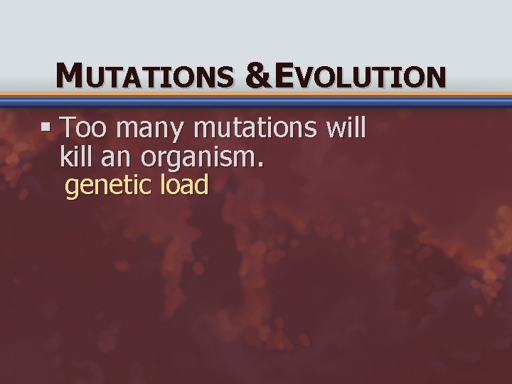 MUTATIONS & EVOLUTION § Too many mutations will kill an organism. genetic load 