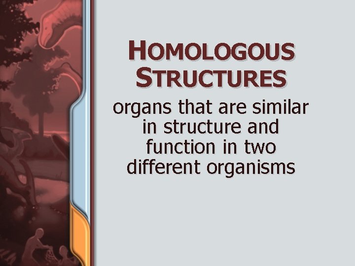 HOMOLOGOUS STRUCTURES organs that are similar in structure and function in two different organisms