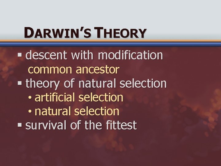 DARWIN’S THEORY § descent with modification common ancestor § theory of natural selection •