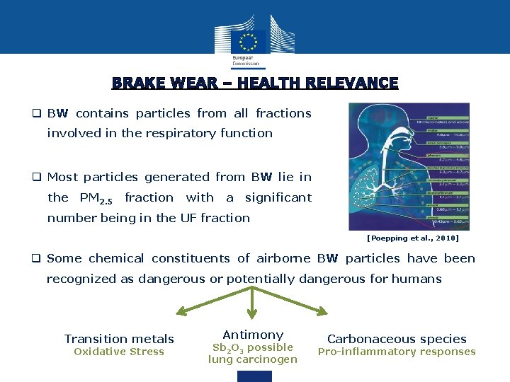 BRAKE WEAR – HEALTH RELEVANCE q BW contains particles from all fractions involved in