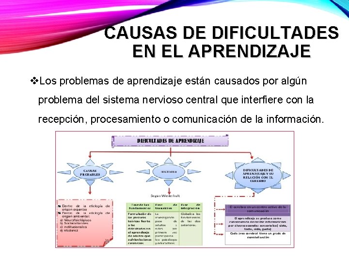 CAUSAS DE DIFICULTADES EN EL APRENDIZAJE v. Los problemas de aprendizaje están causados por