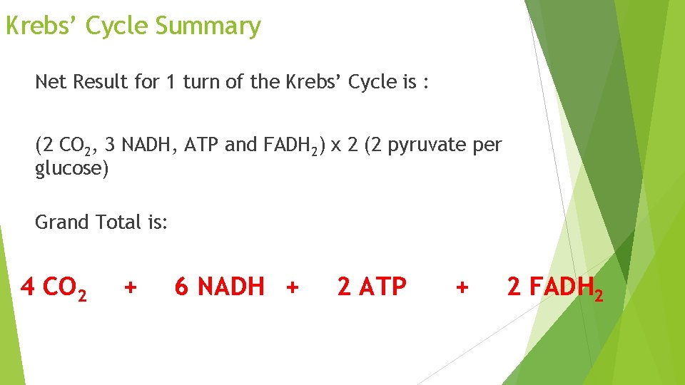 Krebs’ Cycle Summary Net Result for 1 turn of the Krebs’ Cycle is :