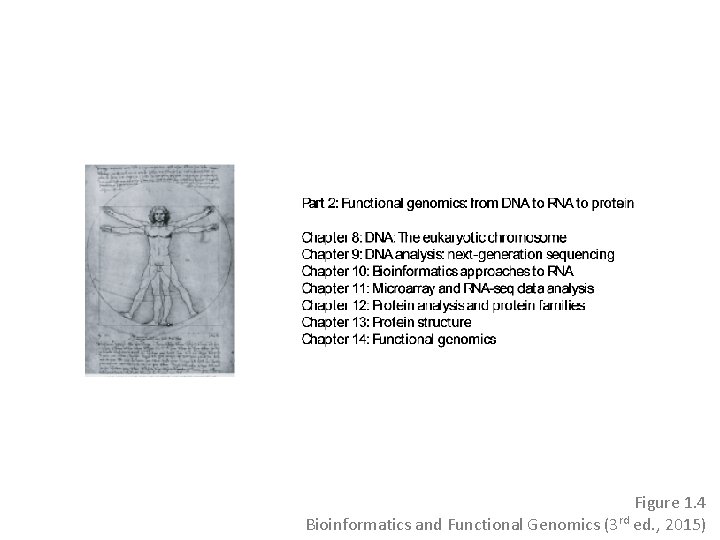 Figure 1. 4 Bioinformatics and Functional Genomics (3 rd ed. , 2015) Figure 1. 4 Bioinformatics and Functional Genomics (3 rd ed. , 2015)