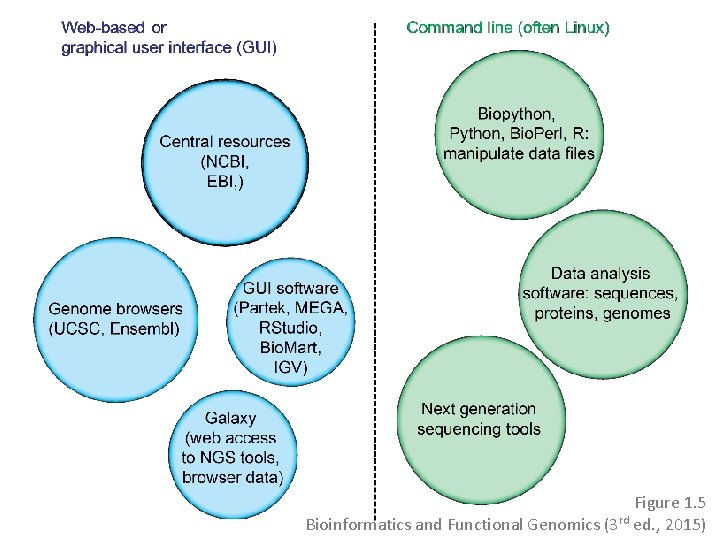 Figure 1. 5 Bioinformatics and Functional Genomics (3 rd ed. , 2015) Figure 1. 5 Bioinformatics and Functional Genomics (3 rd ed. , 2015)
