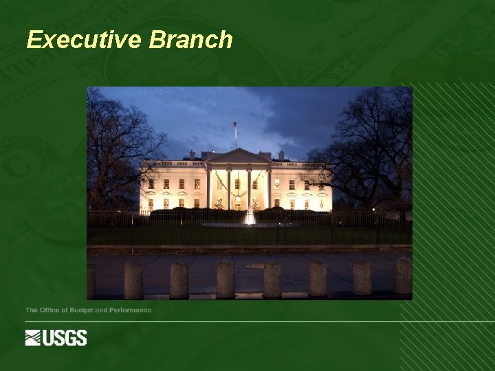 Executive Branch The Office of Budget and Performance 