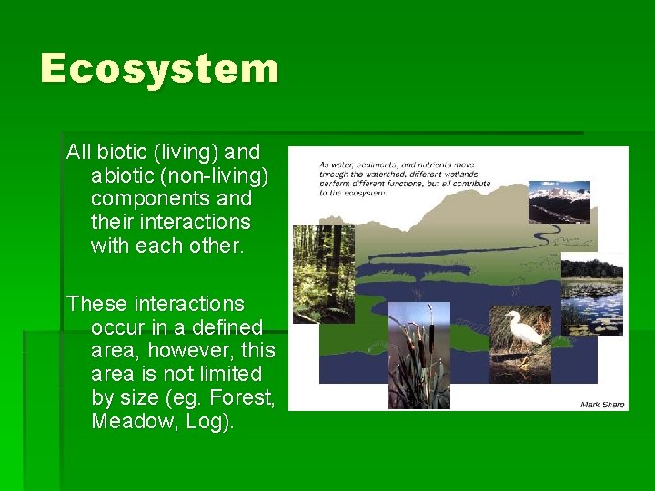 Ecosystem All biotic (living) and abiotic (non-living) components and their interactions with each other.