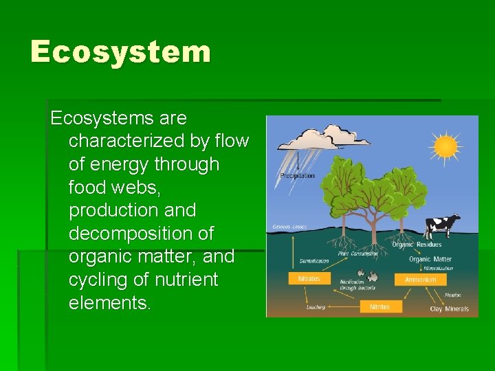 Ecosystems are characterized by flow of energy through food webs, production and decomposition of