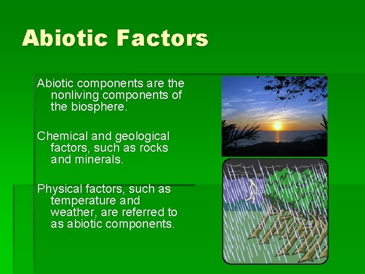Abiotic Factors Abiotic components are the nonliving components of the biosphere. Chemical and geological