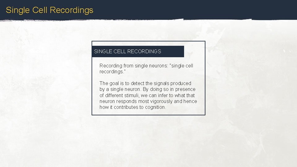 Single Cell Recordings SINGLE CELL RECORDINGS Recording from single neurons: “single cell recordings. ”