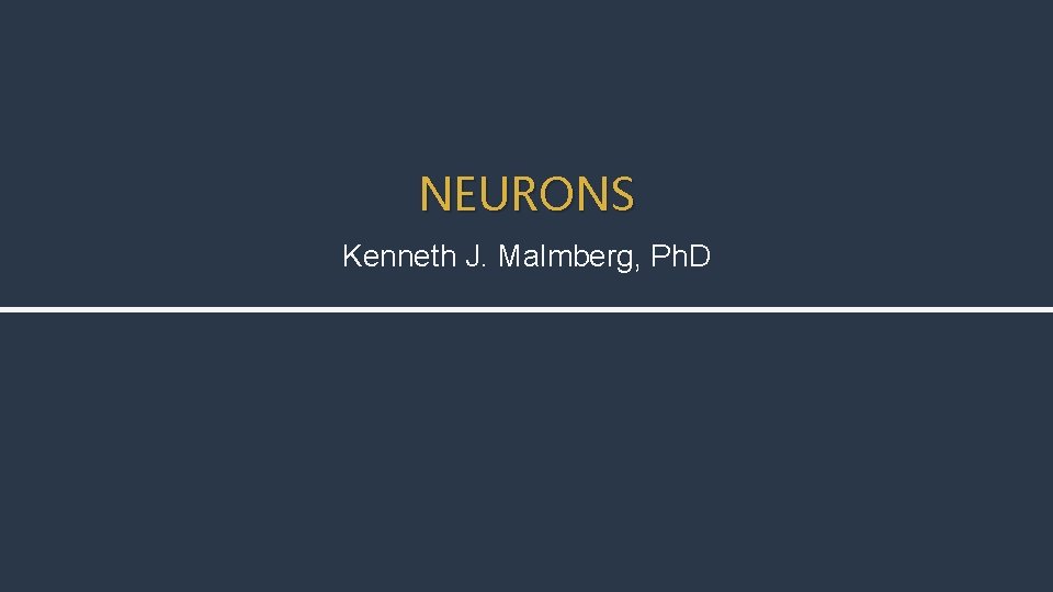 NEURONS Kenneth J. Malmberg, Ph. D 