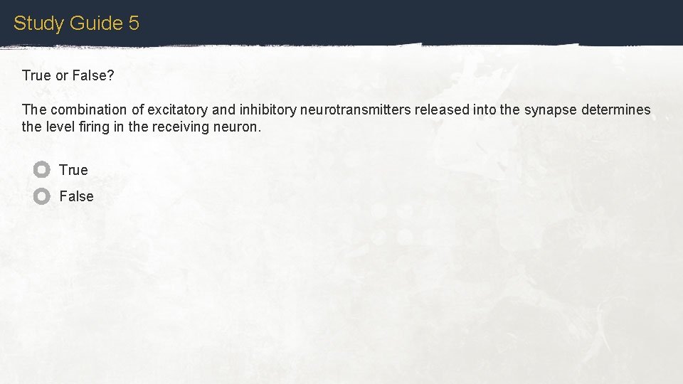 Study Guide 5 True or False? The combination of excitatory and inhibitory neurotransmitters released