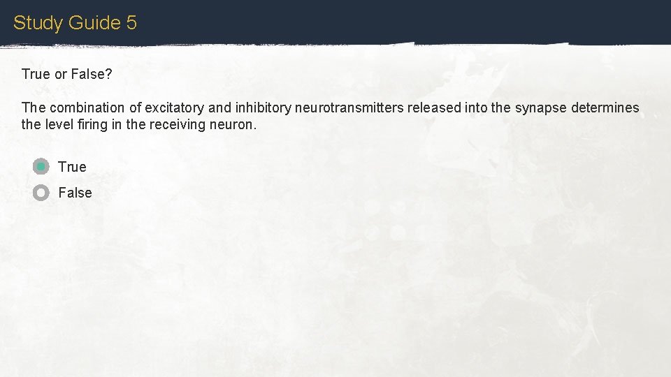 Study Guide 5 True or False? The combination of excitatory and inhibitory neurotransmitters released