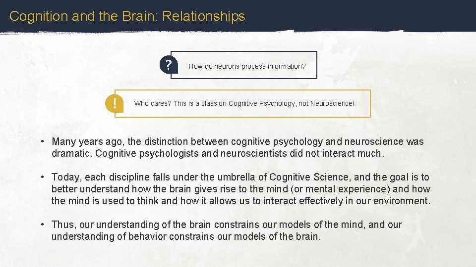 Cognition and the Brain: Relationships ? ! How do neurons process information? Who cares?