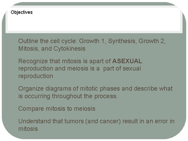Objectives • • • Outline the cell cycle: Growth 1, Synthesis, Growth 2, Mitosis,