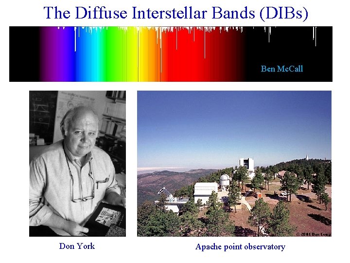 The Diffuse Interstellar Bands (DIBs) Ben Mc. Call Don York Apache point observatory 