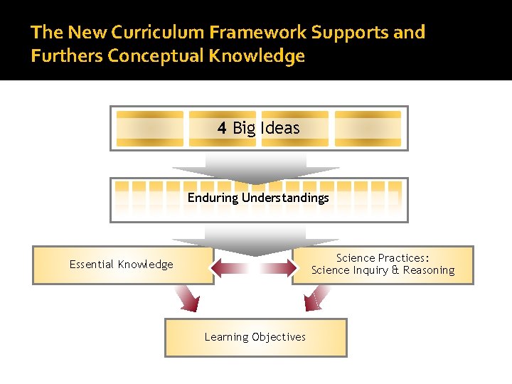 The New Curriculum Framework Supports and Furthers Conceptual Knowledge 4 Big Ideas Enduring Understandings