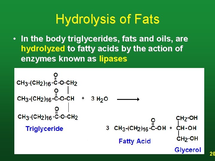 Hydrolysis of Fats • In the body triglycerides, fats and oils, are hydrolyzed to