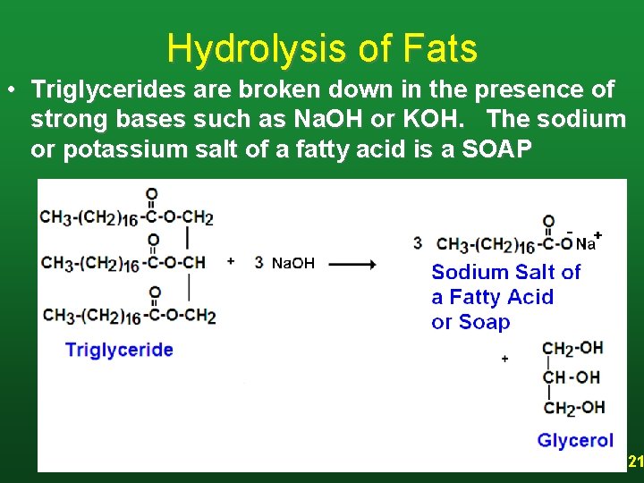 Hydrolysis of Fats • Triglycerides are broken down in the presence of strong bases