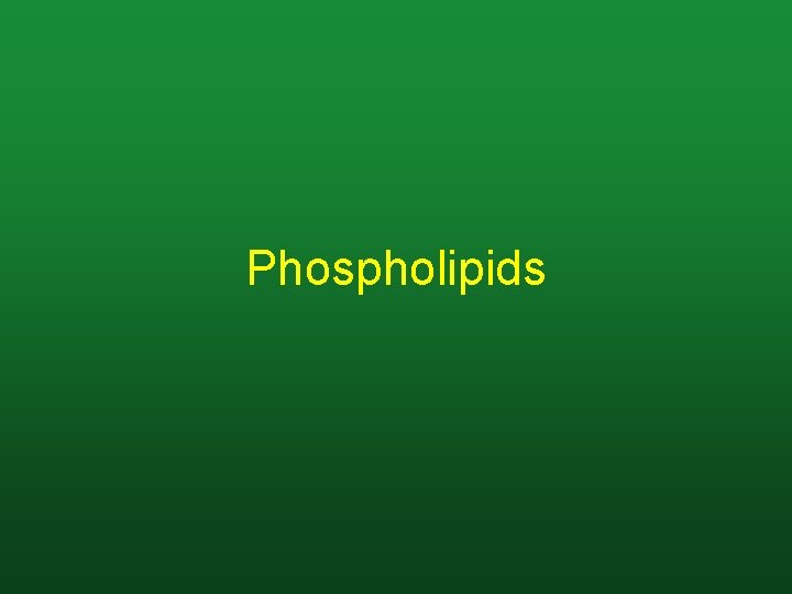 Phospholipids 