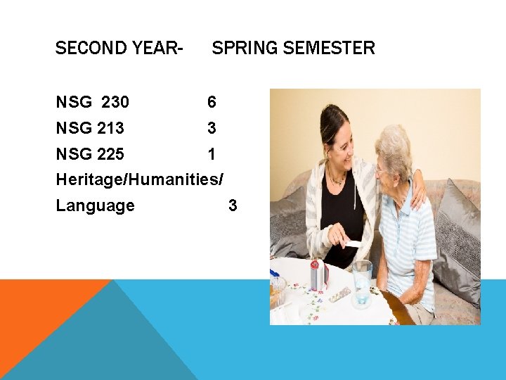 SECOND YEAR- SPRING SEMESTER NSG 230 6 NSG 213 3 NSG 225 1 Heritage/Humanities/